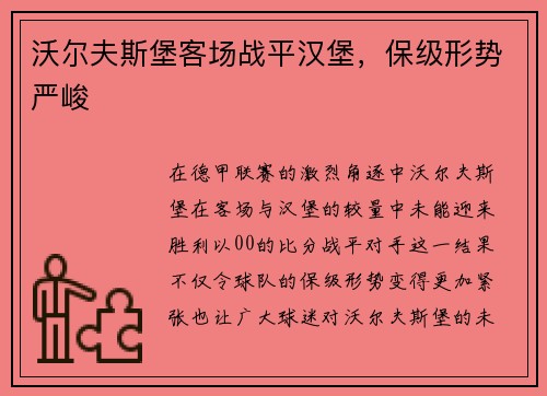 沃尔夫斯堡客场战平汉堡，保级形势严峻